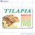 Tilapia Full Color HMR Rectangle Merchandising Labels PQG (3x2 inch) 250/Roll